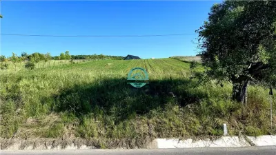 Vand teren intravilan in Sanisor cu suprafata de 4946 mp - foto 3