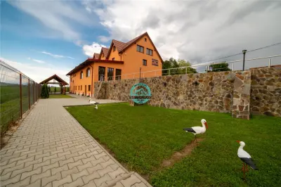 Oportunitate ! Pensiune 7 camere, 4 apartamente, 760mp utili la E60 - foto 3