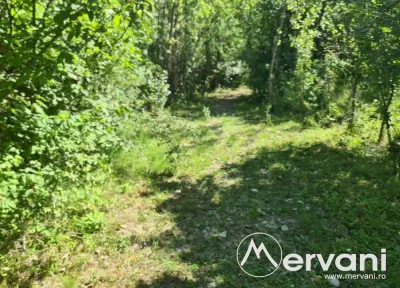 Teren de vanzare in Poiana Campina - foto 9