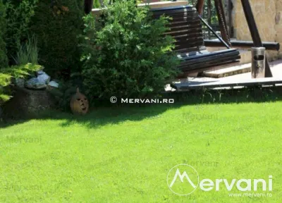 Vila de vanzare in Busteni (zona Poiana Tapului) - foto 6
