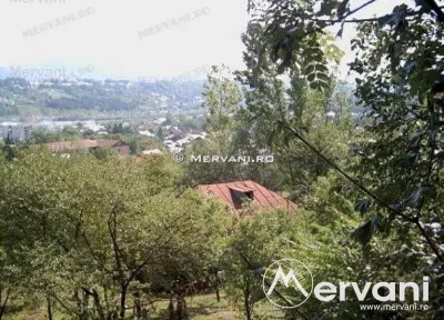 Teren de vanare in Poiana Campina - Poiana Campina