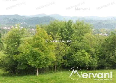 Teren de vanzare in Campina (zona Voila) - foto 2