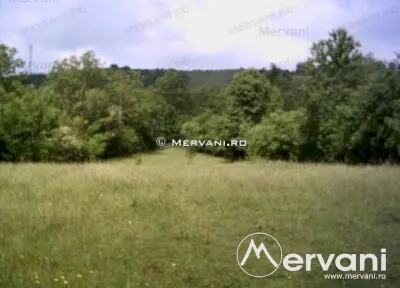Teren de vanzare in Campina (zona Voila) - foto 2