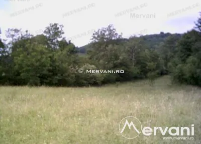 Teren de vanzare in Campina (zona Voila) - foto 6