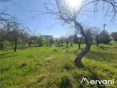 Teren de vanzare in Campina (zona Voila) - foto 6