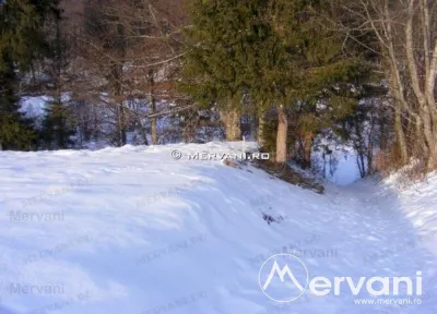Teren de vanzare in Predeal (zona Valea Rasnoavei) - foto 2