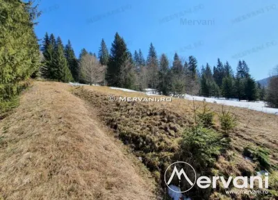 Teren de vanzare in Predeal (zona Malul Ursului) - foto 9