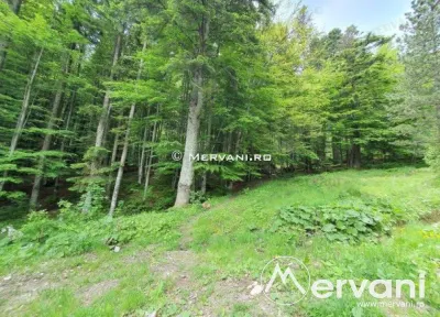 Teren Intravilan de Vanzare Sinaia ( zona Furnica) - foto 3