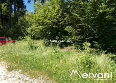 Teren Intravilan de Vanzare Sinaia - foto 3