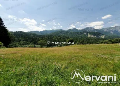 Teren Intravilan Sinaia (zona Cumpatu) - foto 7