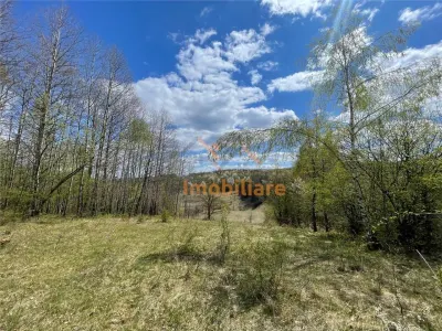 TEREN EXTRAVILAN | 103.000mp | BALANACA-GROSI | PASUNE | PASUNE IMPADURITA | BIHOR - foto 7