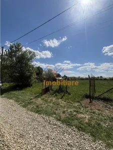 TEREN CHISIRID | 1.226 MP | TOATE UTILITATILE - foto 6