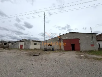 HALE INDUSTRIALE | CLADIRE BIROURI | TEREN 7000 MP | GHEGHIE BIHOR - foto 2