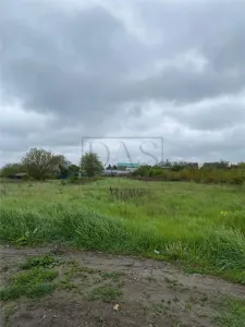 Teren intravilan | 3993 mp | Ciorogarla, Ilfov | Utilitati - foto 12