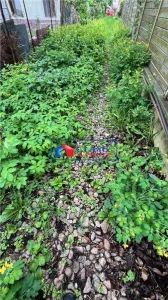 Vanzare casa individuala cu teren de 622 mp in Grigorescu zona Piata 14 Iulie - foto 9