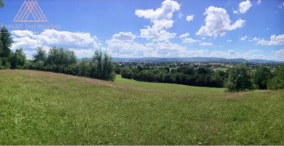 Teren in Horodnic de Sus, pe Osoi 1 ha - foto 3