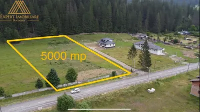 Teren 5000 mp in oras Gura Humorului  toate utilitatile NEGOCIABIL - Gura Humorului