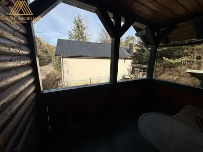 Cabana Vanatorului, sursa de apa, lemne, parau pe proprietate, fantana - foto 22