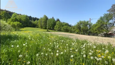 Casa  din Bucovina teren 7000mp pretabil pensiune - foto 18