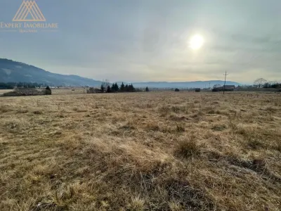 Teren 6440 mp in Sarul Dornei 4 Euro / mp URGENT - foto 4