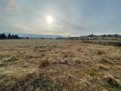 Teren 6440 mp in Sarul Dornei 4 Euro / mp URGENT - foto 9