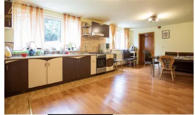 Casa Pensiune  Nordul Dornelor - foto 25