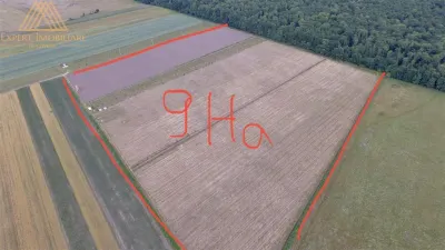 Teren extravilan comasat 9 hectare cu plantatie  3 Euro pe m2 Suceava - foto 8
