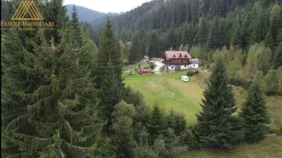 Cabana  Elvetiana din Bucovina - 14 camere - foto 11