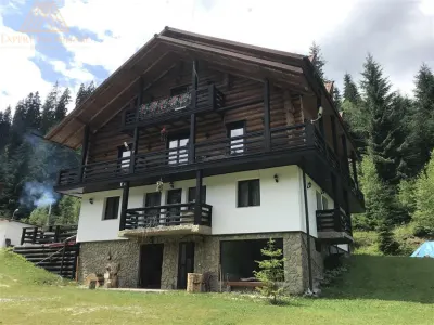 Cabana  Elvetiana din Bucovina - 14 camere - foto 3