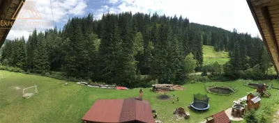 Cabana  Elvetiana din Bucovina - 14 camere - foto 9