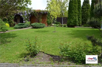 Casa Superba de Inchiriat Mobilata Lux in Sangeorgiu de Mures - foto 11