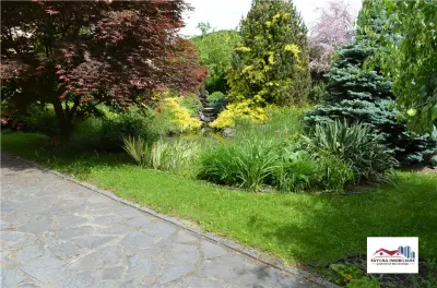 Casa Superba de Inchiriat Mobilata Lux in Sangeorgiu de Mures - foto 10
