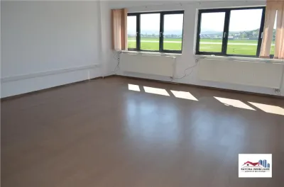 Hala de Productie de Inchiriat Zona Vidrasau - foto 6