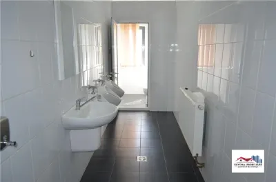 Hala de Productie de Inchiriat Zona Vidrasau - foto 10