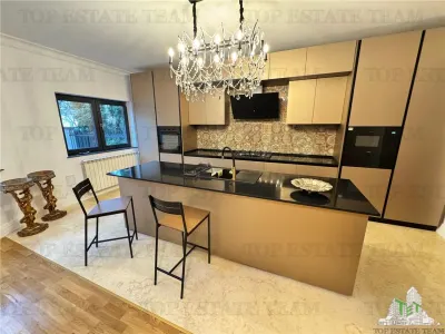 Vila pretabila rezidenta/office Iancu Nicolae - foto 4