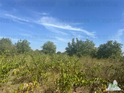 Vanzare teren intravilan construibil , Branesti-Ilfov, 7100 mp, ideal rezidenta sau investitie, scadere de pret. - foto 2