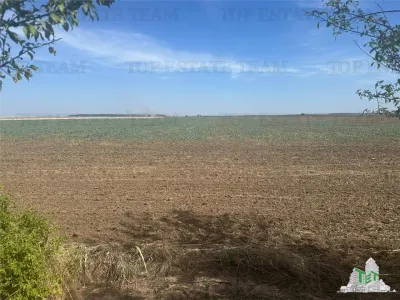 Vanzare teren intravilan construibil, Branesti-Ilfov, 5100 mp, ideal rezidenta sau investitie, scadere de pret. - foto 2