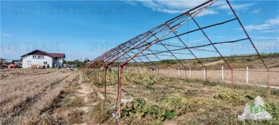 Ferma 3,3ha, din care 2,5ha intravilan, vila 7 camere, D+P+E+M, casa pentru muncitori, grajd animale, livada, culturi porumb si grau, PODISOR/GIURGIU - foto 13