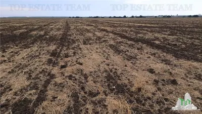 Oferim spre vanzare 6 loturi de teren extravilan (agricol) in Petrachioaia ILFOV la doar  1,9 euro/mp. - foto 11