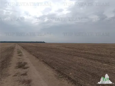 Oferim spre vanzare 6 loturi de teren extravilan (agricol) in Petrachioaia ILFOV la doar  1,9 euro/mp. - foto 6