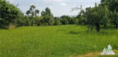 Teren intravilan Campulung - 2.957 mp cu livada, anexa si acces utilitati, Campulung-Muscel, zona Valea Ursului, 23€/mp, negociabil - foto 3