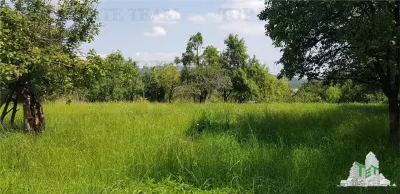 Teren intravilan Campulung - 2.957 mp cu livada, anexa si acces utilitati, Campulung-Muscel, zona Valea Ursului, 23€/mp, negociabil - foto 4