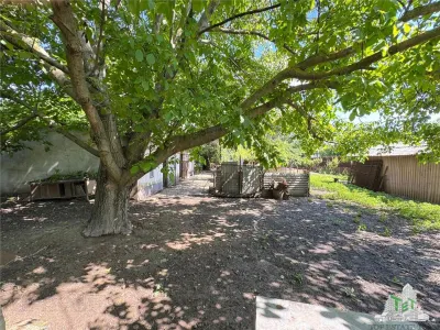 Casa de vanzare - Movilita, jud. Ialomita - 2000 mp teren, proprietate la bulevard - foto 6