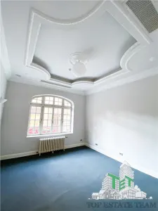 Vanzare vila interbelica reconsolidata si renovata in zona Armeneasca - foto 7