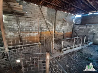 Teren 4000 mp + casa demolabila in Bragadiru/Varteju (Magurele) - foto 9