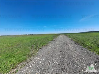 Loturi teren de vanzare Branesti/Vadu Anei - foto 13