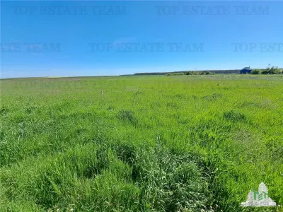 Loturi teren de vanzare Branesti/Vadu Anei - foto 6
