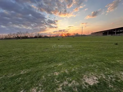 Bocsa Romana, 2 terenuri intravilan, 10.000 Mp.(57.500 Euro) si arabil, 80.000 Mp.(54900 Euro, 8 HA) langa Hala Transavia - foto 8