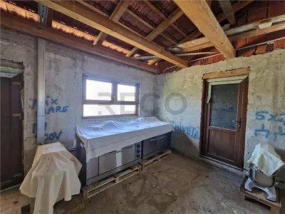RECO Pensiune+sala de evenimente 150 locuri, 470 mp utili in Petreasa, com. Remetea, la gri. Oportunitate investitie. - foto 14