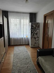 Apartament 2 camere zona Eremia Grigorescu - foto 2